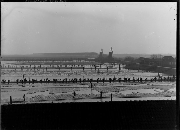 Balkengaten, gezicht vanaf molen de Nagtegaal op de hoek Oranjelaan -Noordendijk - 1900-1906 Balkengaten, gezicht vanaf molen de Nagtegaal op de hoek Oranjelaan -Noordendijk - 1900-1906