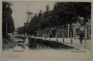 Vissen in de beeldjeshaven