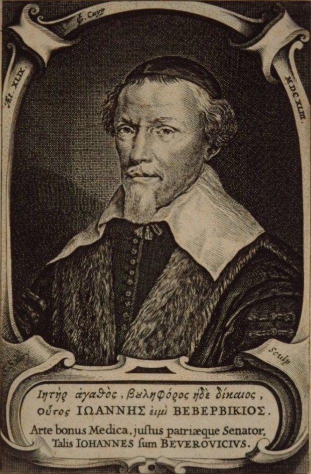 Portret van Johan van Beverwijck