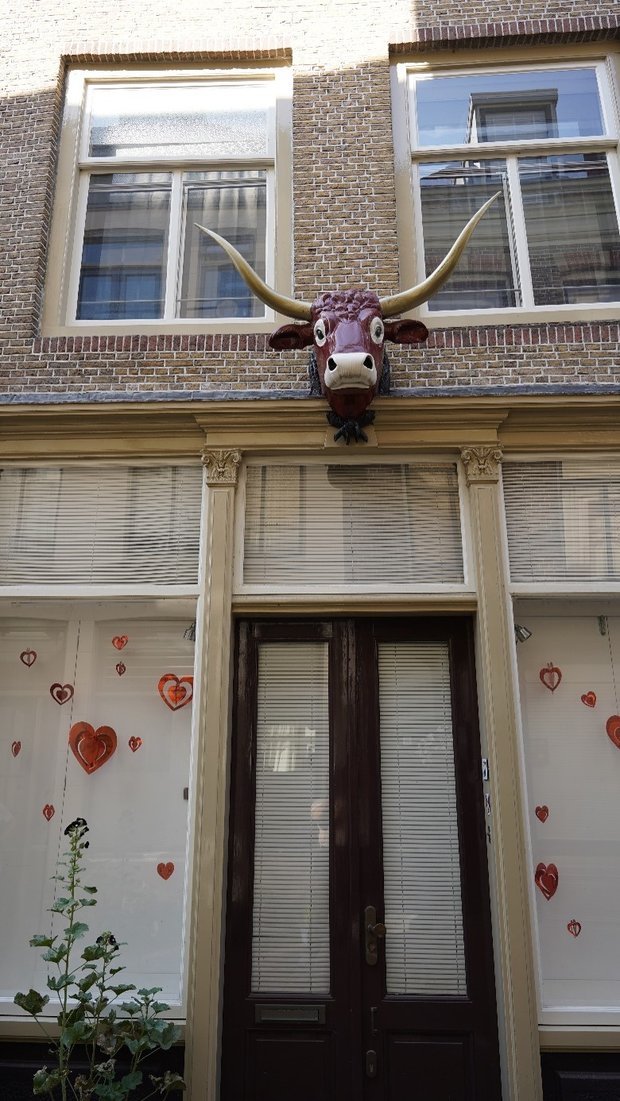 Gevel in de Vleeshouwersstraat Gevel in de Vleeshouwersstraat