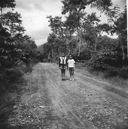 Armand en Ronald in de koffieplantage in Djember - 1957