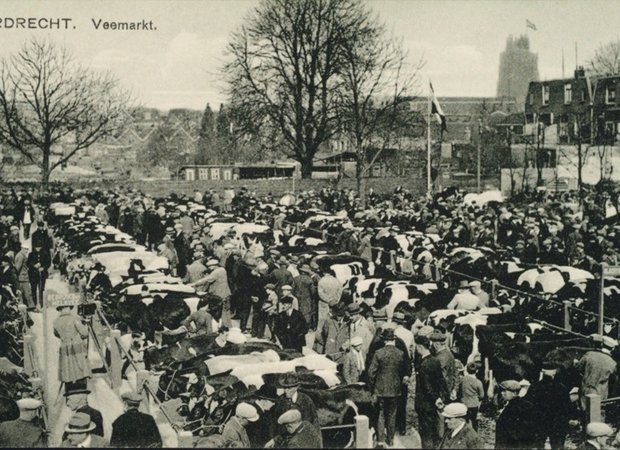 Tentoonstelling Tentoonstelling