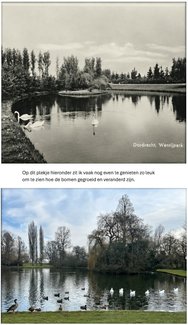 Fotowedstrijd inzending: Wantijpark