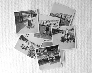 Familie Meijnhard van Schoor