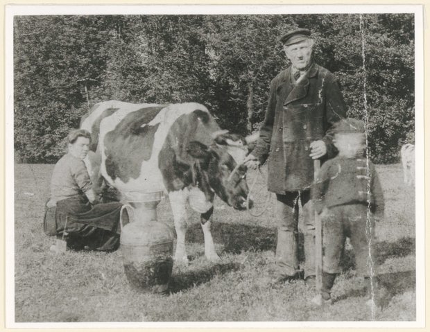 Geertruida van Heeren melkt een koe bij boer Koos Valk Geertruida van Heeren melkt een koe bij boer Koos Valk